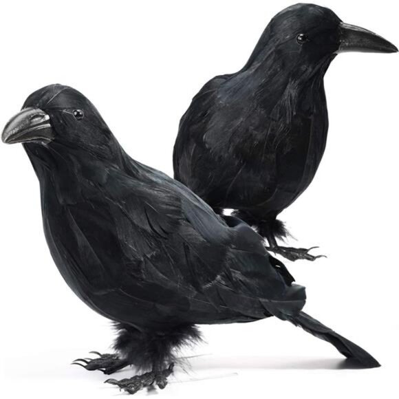 Halloween Decor 2 PCS Realistic Crow Halloween Decor Birds Black Feathered Crows - Picture 1 of 8